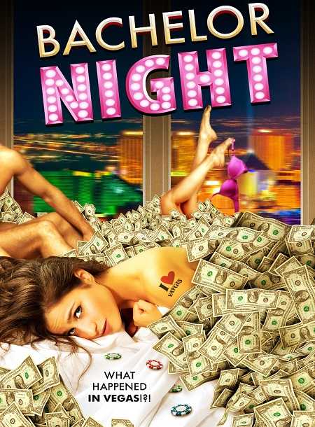 مشاهدة فيلم Bachelor Night 2014 مترجم