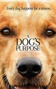 فيلم A Dogs Purpose 2017 مترجم