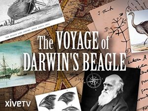 فيلم Darwin The Beagles Scandal 2012 مترجم