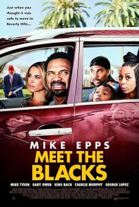 فيلم Meet The Blacks 2016 مترجم