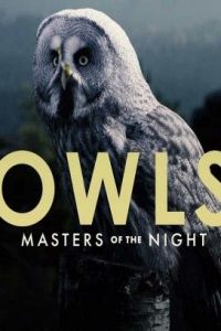 فيلم The Secret Life Of Owls 2017 مترجم