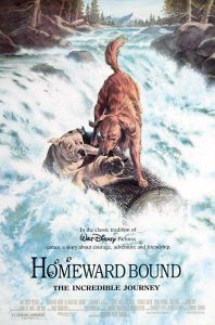 فيلم Homeward Bound The Incredible Journey 1993 مترجم