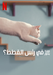 فيلم Inside The Mind Of A Cat 2022 مترجم