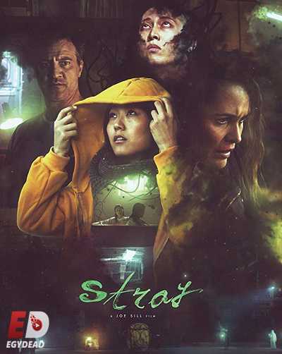 مشاهدة فيلم Stray 2019 مترجم