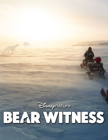 فيلم Bear Witness 2022 مترجم