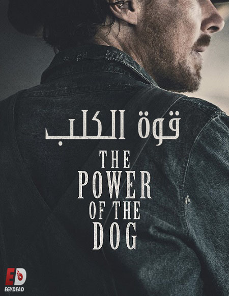 مشاهدة فيلم The Power of the Dog 2021 مترجم