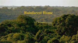 فيلم Rainforest Home 2020 مترجم