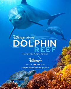 فيلم Dolphin Reef 2020 مترجم