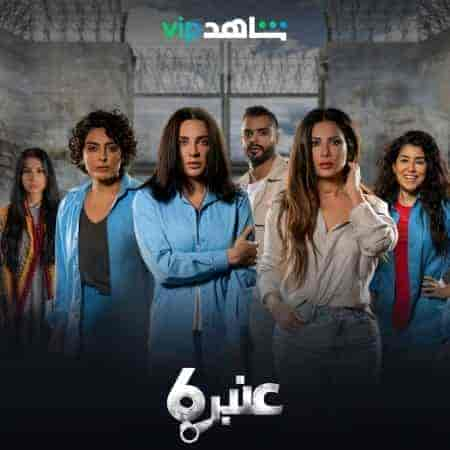 مسلسل عنبر 6