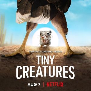 Tiny Creatures الموسم 1