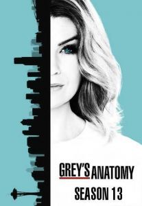 Greys Anatomy الموسم 13