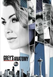 Greys Anatomy الموسم 14