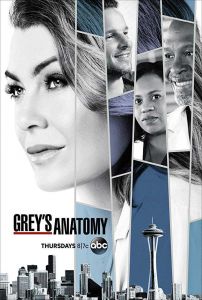 Greys Anatomy الموسم 16