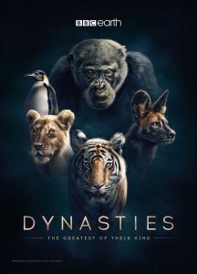 Dynasties الموسم 1