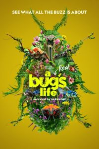 A Real Bug's Life الموسم 1